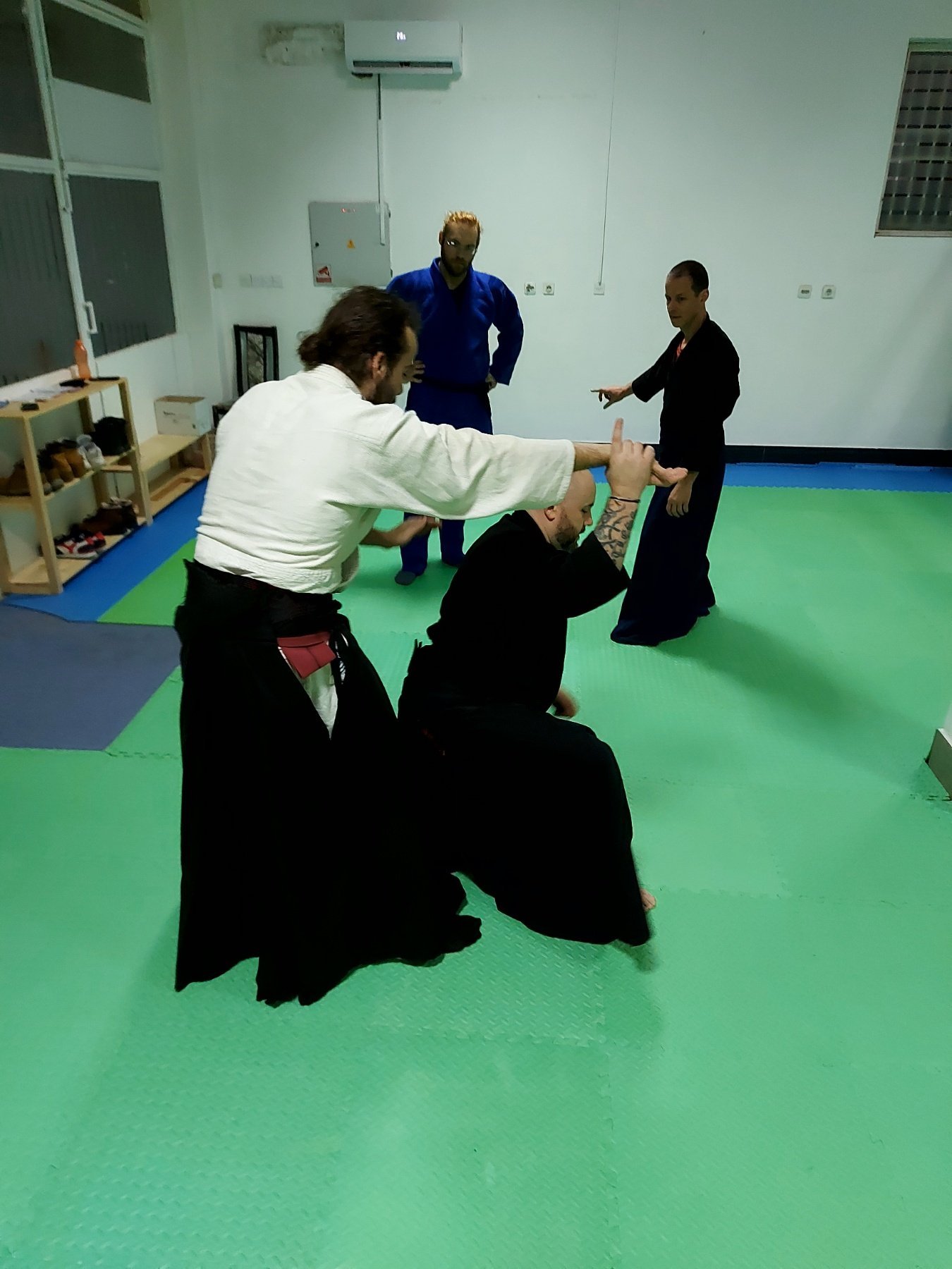 person practicing jujutsu