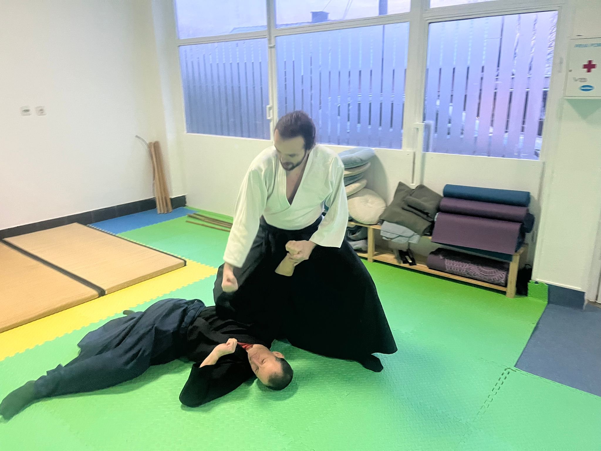 person practicing jujutsu