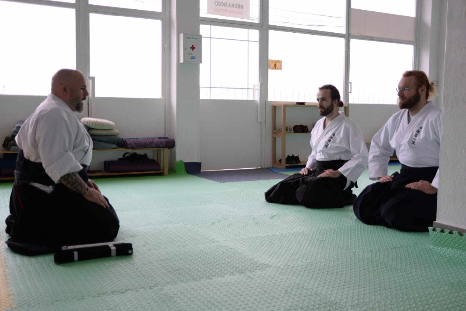 person practicing jujutsu