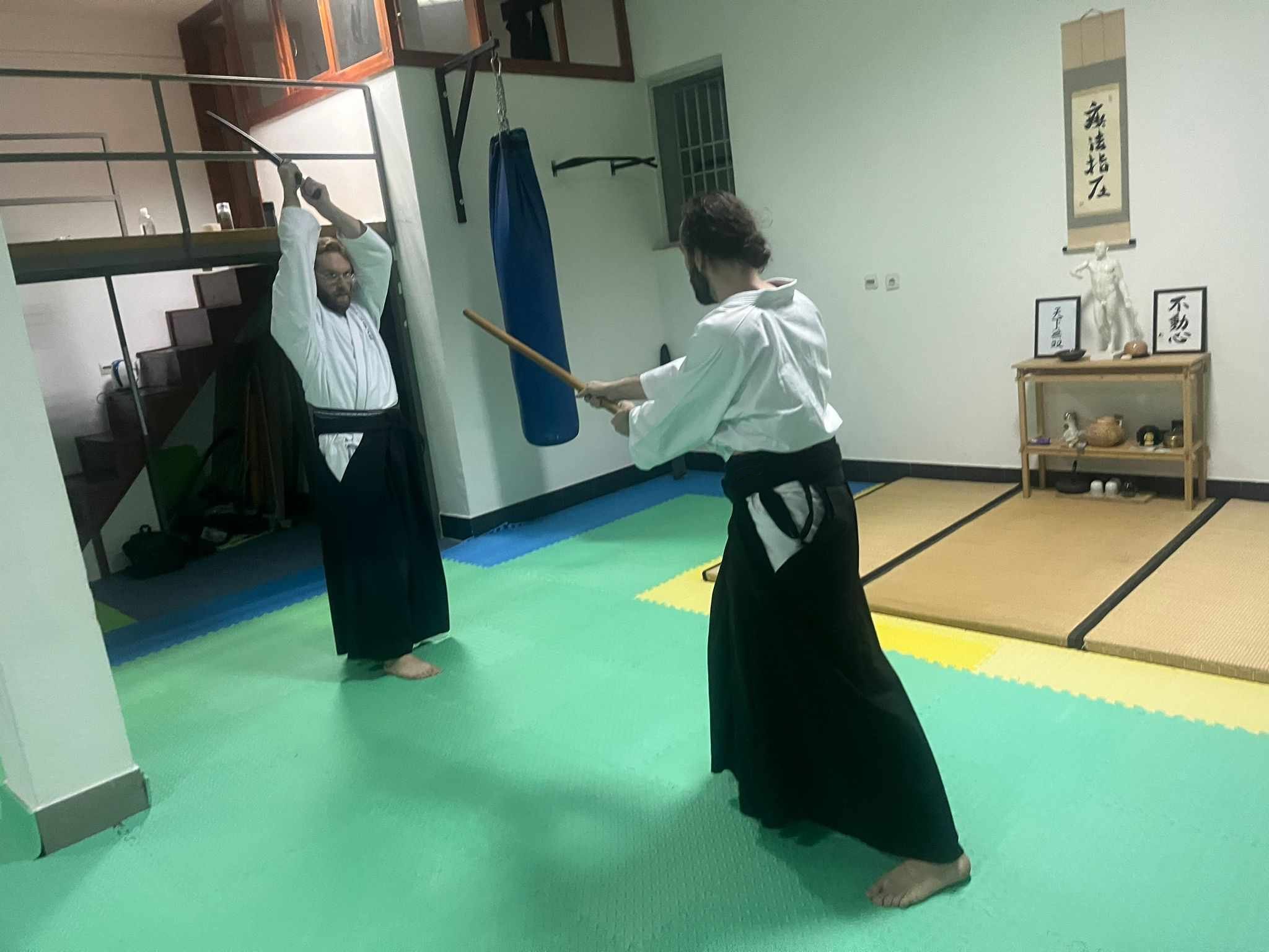 person practicing jujutsu